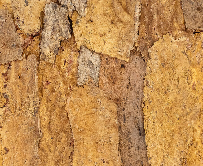 floer-akukurk-wandpanelen-zandsteen-natuur