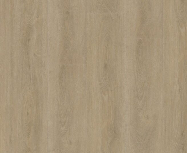 Ambiant-Robusto-SRC-Beige