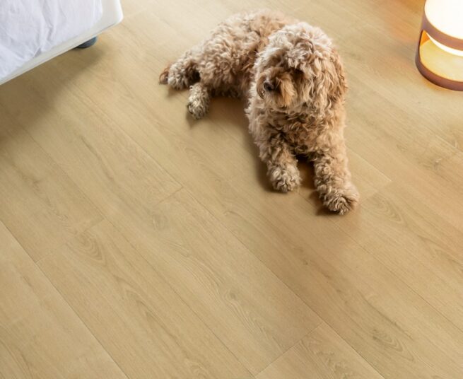 quick-step-capture-laminaat-geborstelde-naturelle-eik-sig4763