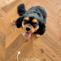 floorify-hongaarse-punt-oscar