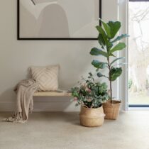 quick-step-alpha-oester-beton-avmtu40275
